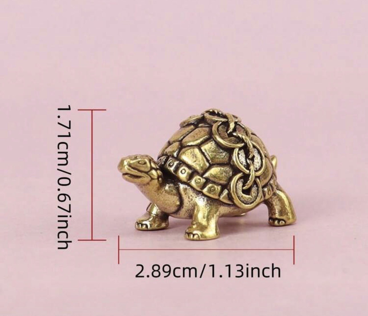 Turtle Mini Idol A