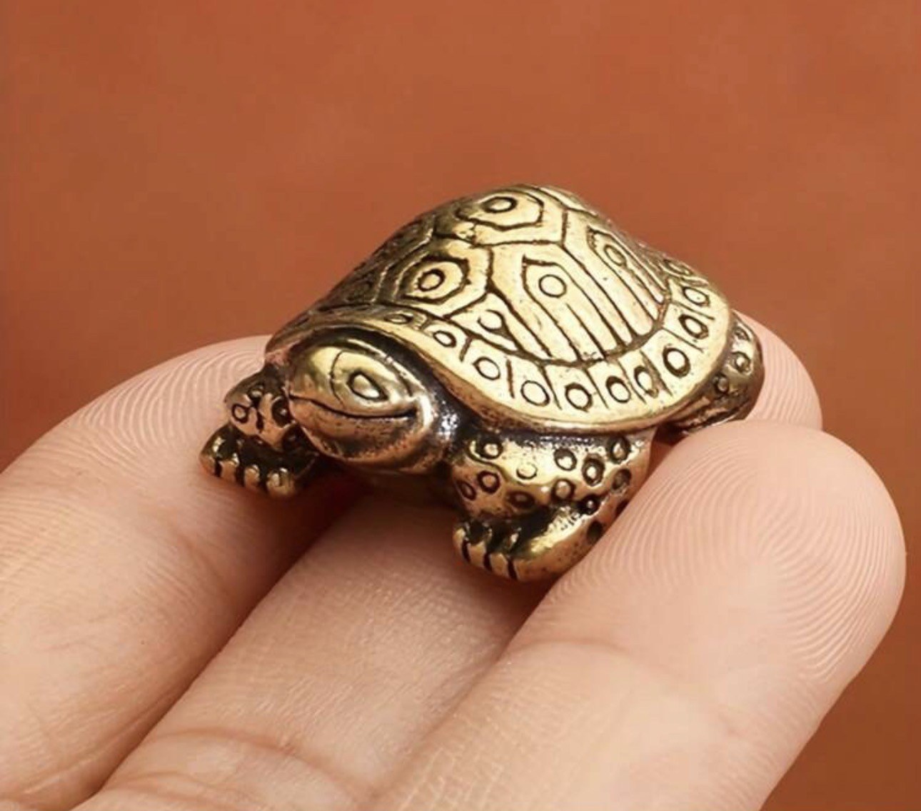 Turtle Mini Idol B