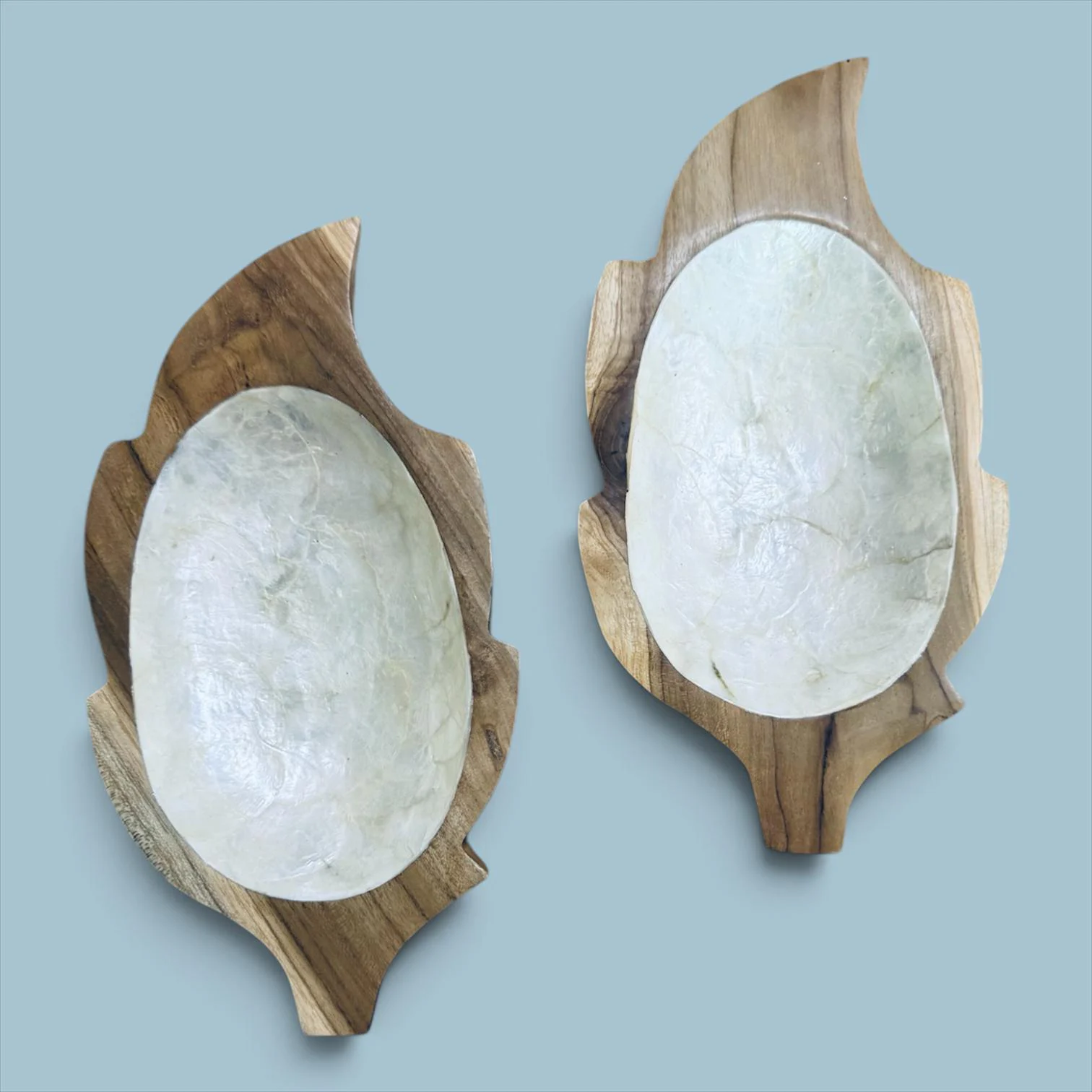 Condiment Tray (fish shape) - white shell