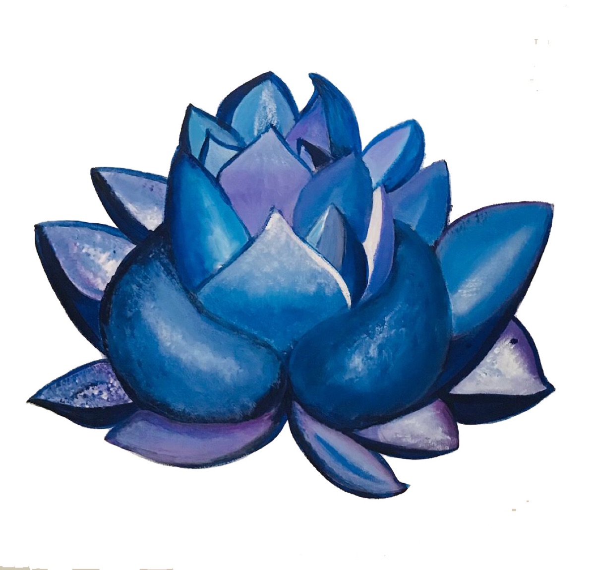 Blue Lotus