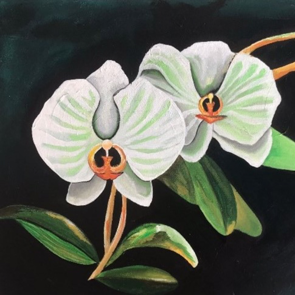 Orchid