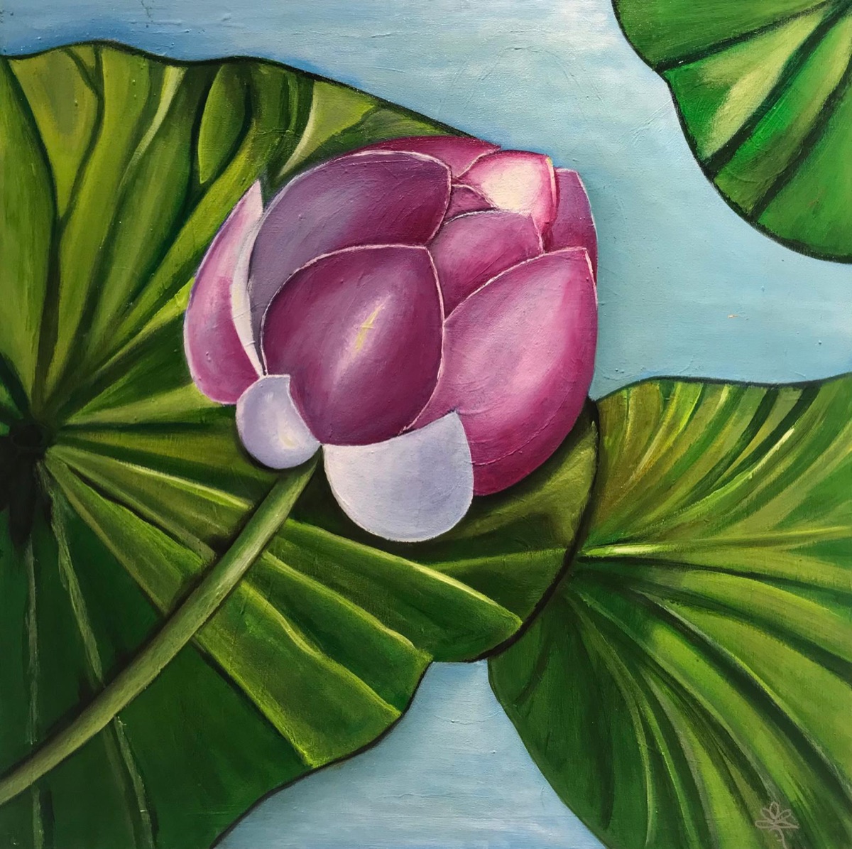 Pink Lotus