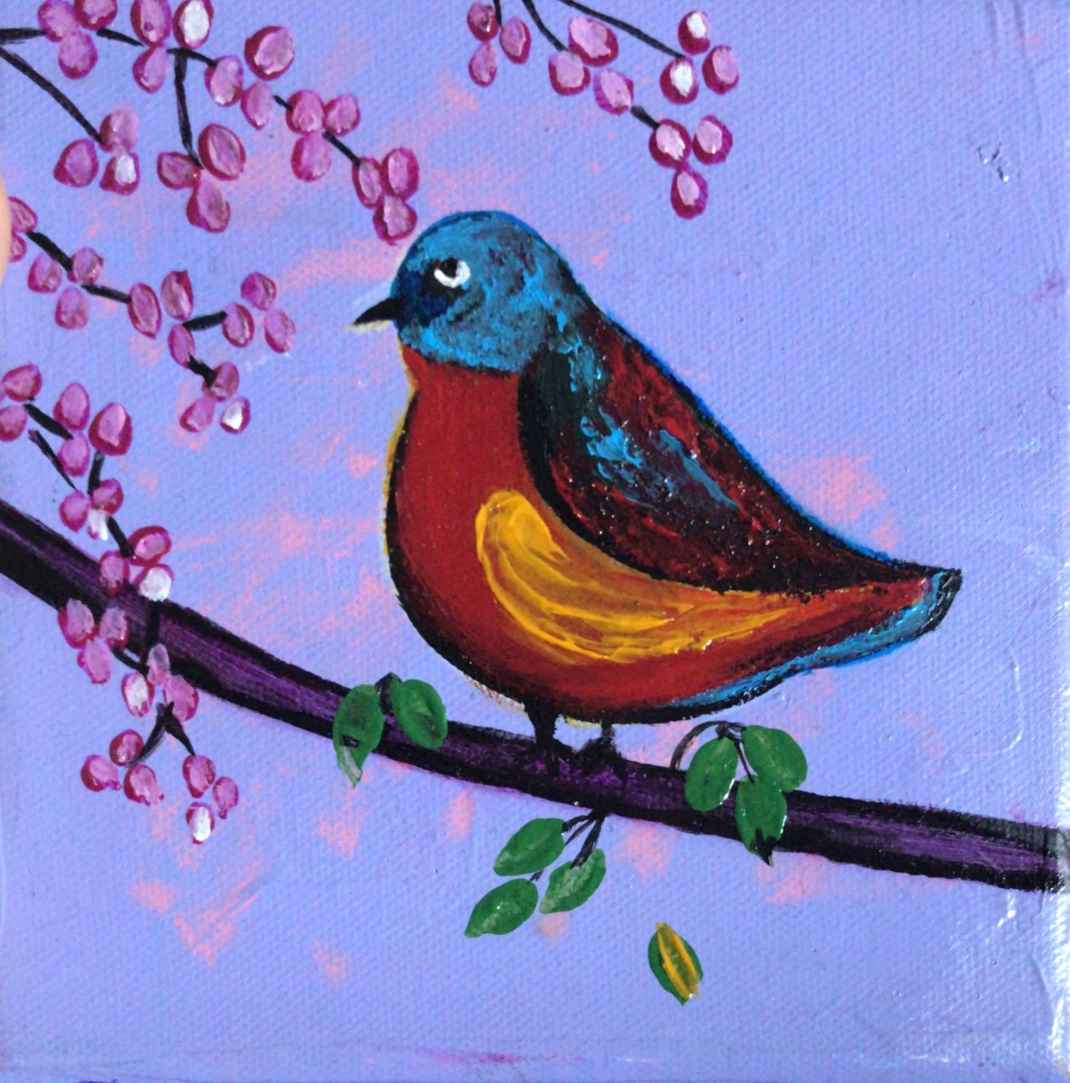 Robin