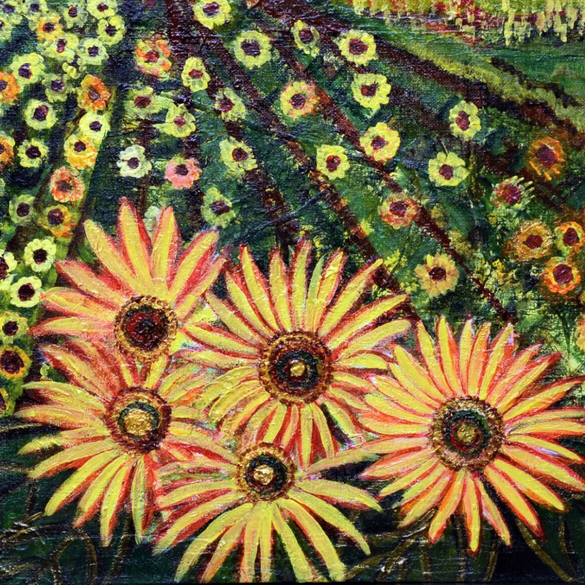 Sunflower 1